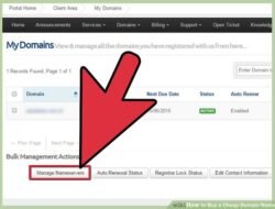 Buy Domain Name Cheap Dengan Cara Mudah Dan Cepat