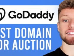 Godaddy Domain Auction Cara Efektif Mendapatkan Domain