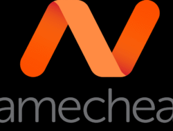 namecheap check domain untuk keperluan online Anda